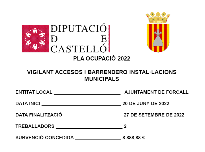 Cartell pla ocuapcio 2022
