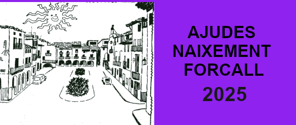 ajudes naixement 2025